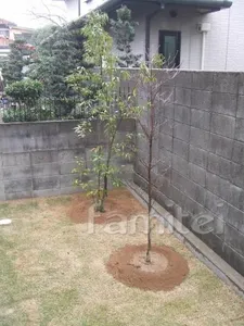 植栽