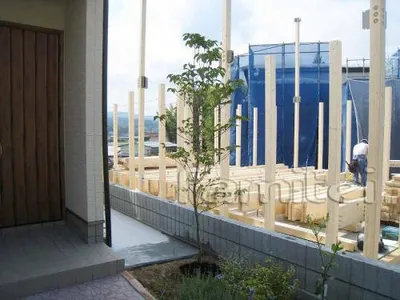 シンボルツリー　ハナミズキ(落葉樹)