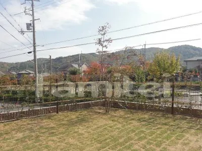  生垣　植栽レッドロビン