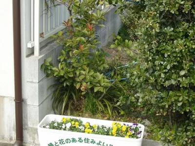 施工前