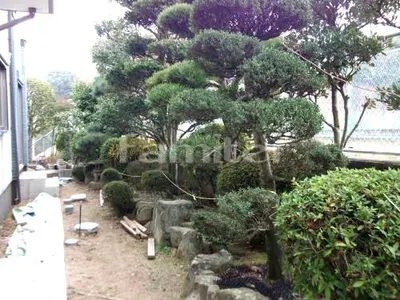 施工前