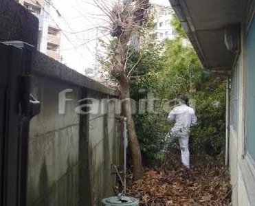 植栽撤去前