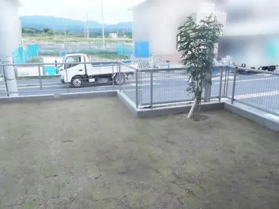  シンボルツリー 植栽 常緑シマトネリコ+芝生張り 姫高麗芝