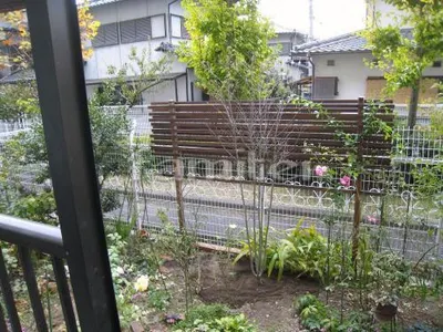 シンボルツリー ヤマボウシ 落葉樹 植栽