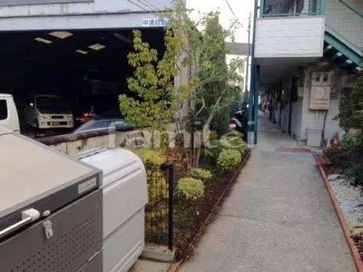入口通路 植栽 葉刈り剪定