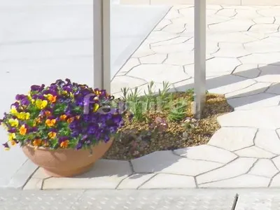植栽スペース 下草 低木