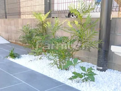 下草 低木 植栽 化粧砂利 白仙