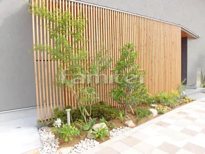 シンボルツリー イロハモミジ 落葉樹 下草 低木 植栽