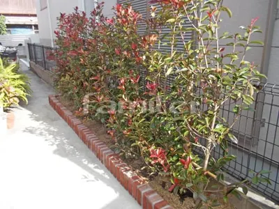 レンガ花壇 ユニソン ソイルレンガ 生垣 レッドロビン 常緑低木 植栽