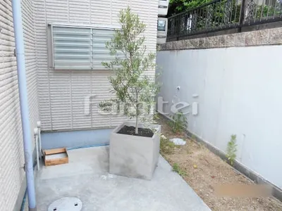 シンボルツリー オリーブ 常緑樹 植栽 鉢 プランター