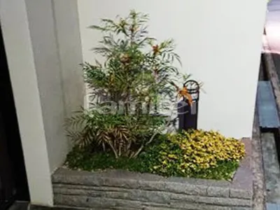 植栽 剪定