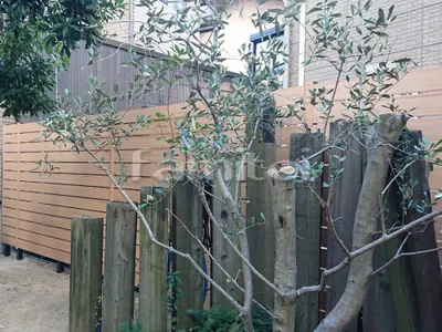 人工木・樹脂 フェンス（木調） F＆F マイティウッド ベーシック極 高尺タイプ 目隠し 木調・ラティス 樹脂