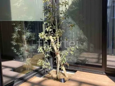 人工木デッキ LIXIL 人工木 樹ら楽ステージ シンボルツリー ソヨゴ 常緑樹 植栽 スポットライト照明 Panasonic LEDスポットライト XLGE0001CE