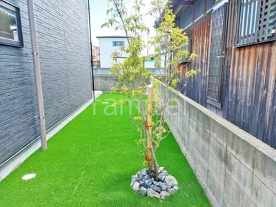 シンボルツリー ヤマボウシ 落葉樹 植栽