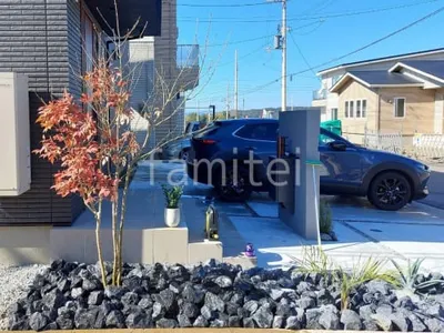 シンボルツリー 落葉樹 アオダモ 植栽