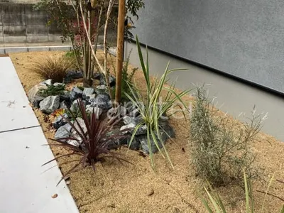 芝生張り 姫高麗芝 ゴロタ石 下草 植栽 