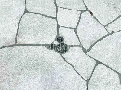 ディズニーデザイン