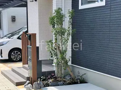 ロックガーデン　シンボルツリー ソヨゴ 常緑樹 植栽