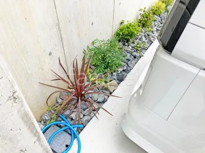 下草 植栽