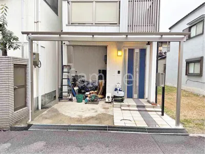 本体色 プラチナステン