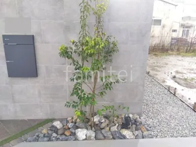 ロックガーデン 栗石敷き シンボルツリー ソヨゴ 常緑樹 植栽