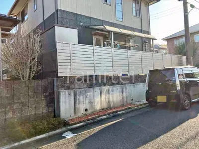 本体色 シャイングレー