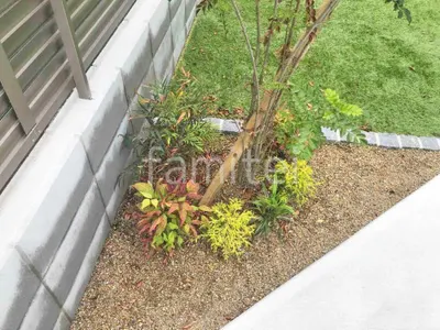 下草 植栽