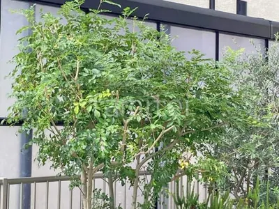 目隠しパネル(正面 前面)2段