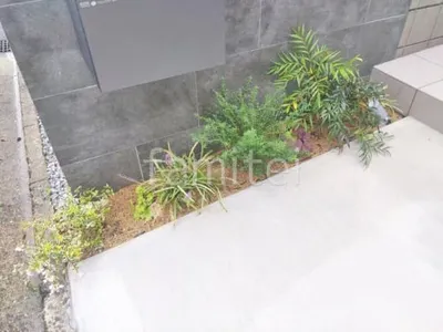 下草 植栽