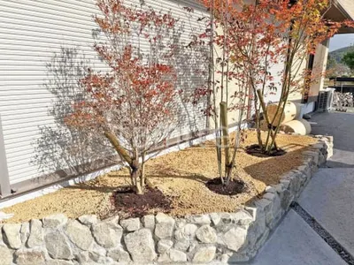 シンボルツリー イロハモミジ ヤマボウシ ドウダンツツジ