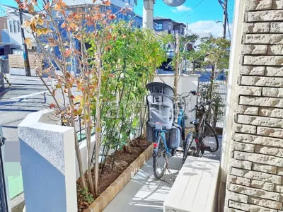 植栽 葉刈り剪定