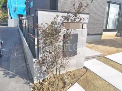 シンボルツリー イロハモミジ 落葉樹 植栽