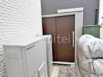 本体色 ウッディココア