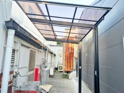 本体色 ブラック