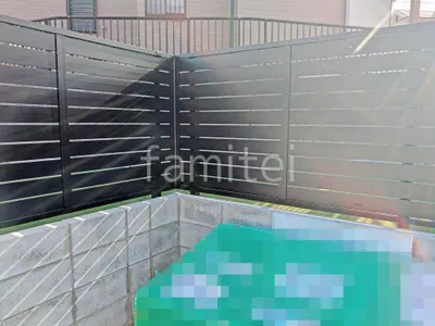 本体色 ブラック