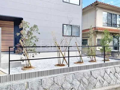 シンボルツリー フェイジョア ソヨゴ イロハモミジ ジューンベリー ヤマボウシ