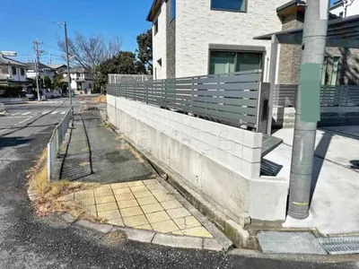 本体色 プラチナステン