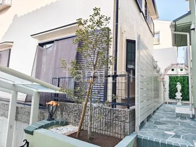 シンボルツリー ソヨゴ 常緑樹 植栽