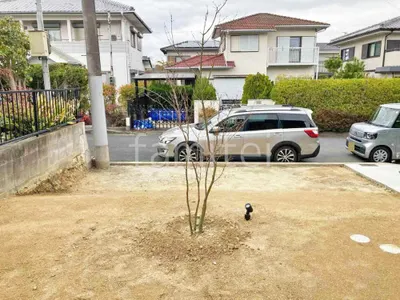 シンボルツリー コハウチハカエデ