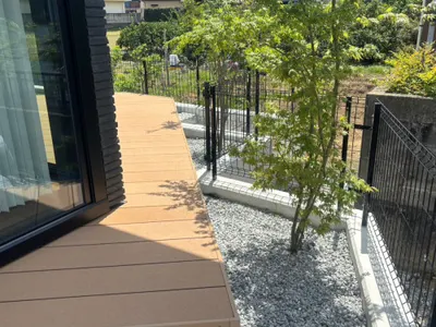 植栽 シンボルツリー イロハモミジ