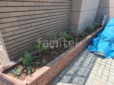 植栽 低木 バークチップ