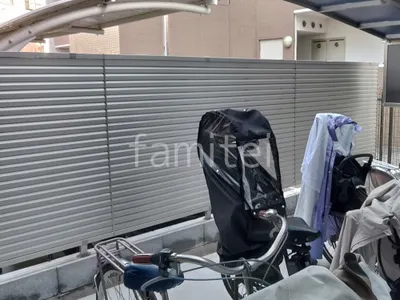 本体色 プラチナステン