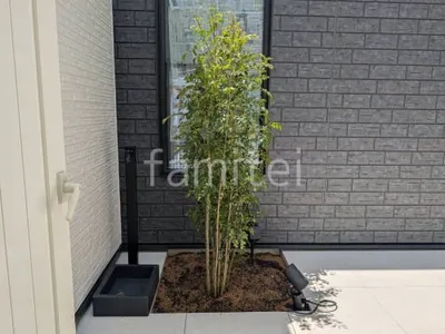 植栽　シンボルツリー 施主支給