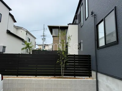植栽 シンボルツリー 落葉樹 アオダモ