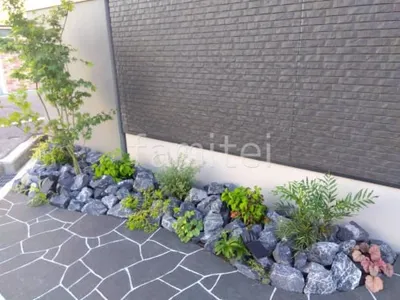 植栽 シンボルツリー落葉樹 イロハモミジ 下草 ロックガーデン ユニソン ワズロック アオバ