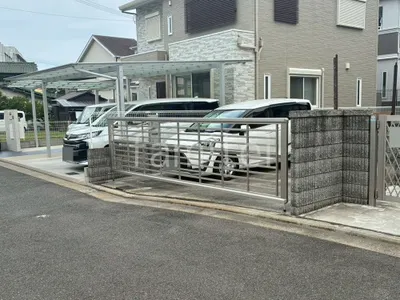 本体色 プラチナステン