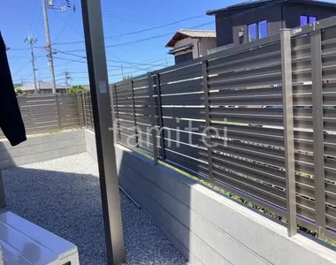 本体色 シャイングレー