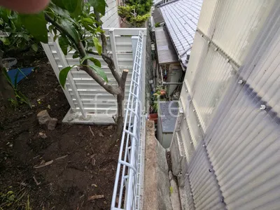 本体色 ホワイト