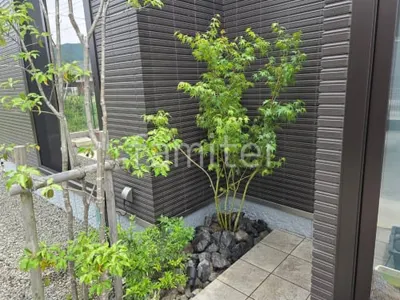 植栽 シンボルツリー 落葉樹 イロハモミジ ロックガーデン ユニソン ワズロック ビザン