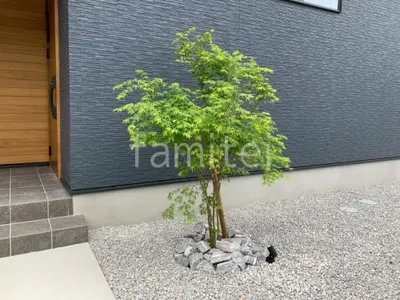 シンボルツリー  イロハモミジ 落葉樹 植栽 ロックガーデン 割栗石敷き 照明 Panasonic LEDスポットライト スパイク付 LGW40091LE1